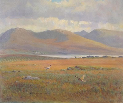Hen Harriers on Clatteringshaws Loch, Galloway