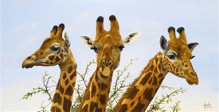 Three giraffes by Jonathan Truss - Auction record, sale price, and art valuation. Compare with similar artists and explore comparable artworks.