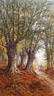 Path through the woods; Trees by the river