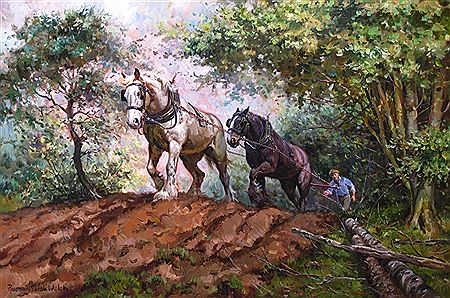 Horses ploughing a woodland clearing