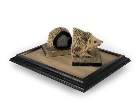 HEDGEHOG