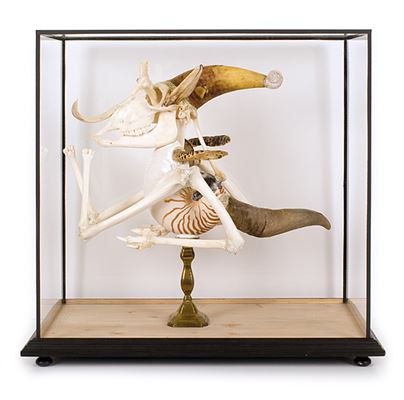 ANIMAL - A CLOWN by Jan Svankmajer - Auction record, sale price, and art valuation. Compare with similar artists and explore comparable artworks.