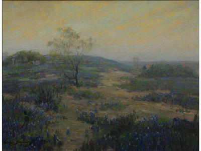 Evening in Bluebonnet Country