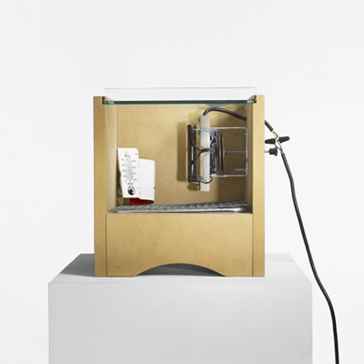 Single Egg Incubator