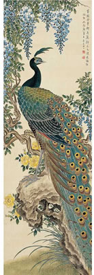 PEACOCK