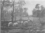 Watery Meadows