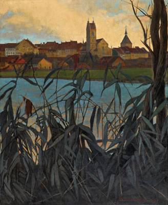 Blick auf die Aarauer Altstadt