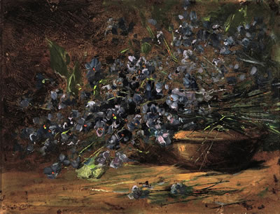 Veilchen