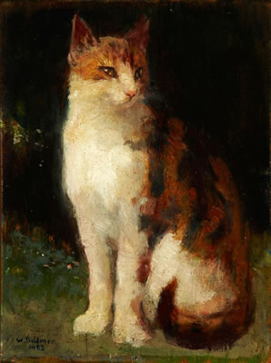 Katzenportrait