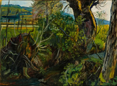 Baume und Busche an der Dunnern by Hans Munzinger - Auction record, sale price, and art valuation. Compare with similar artists and explore comparable artworks.