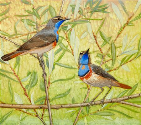 Vogelpaar auf Weidenästen
