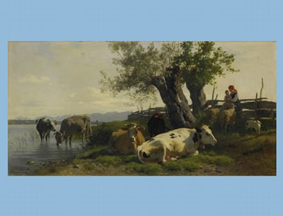 Weidende Kühe