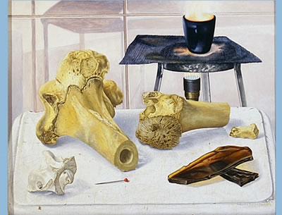 Still life with fire, bones and glue