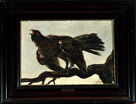 "Balzender Auerhahn auf Ast"