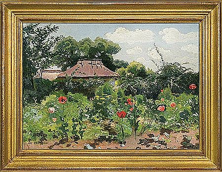 Poppies in the Garden