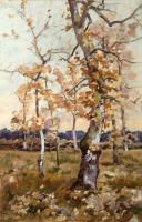Le Bois de Captieux, Bazadais