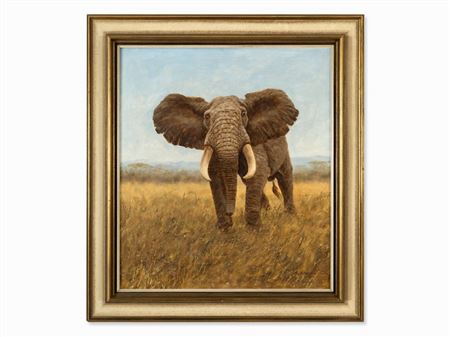 Elephant in the Savannah