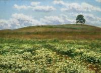 Summer in Kamenicky