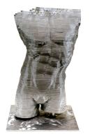 Torse