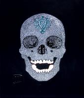 Skull Amor Amor - 2010 by OLLL - Auction record, sale price, and art valuation. Compare with similar artists and explore comparable artworks.