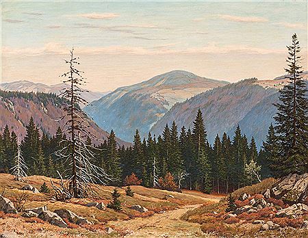 View on an autumn coloured mountain landscape at the Black Forest