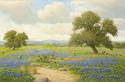 Texas Hill Country Bluebonnets