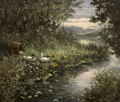 Ducks on Pond