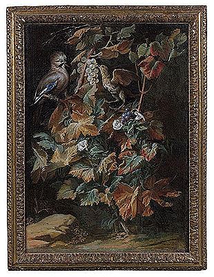 Geai et étourneau sur un pied de vigne entouré de liseron