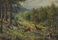 Rehe auf einer Waldwiese
