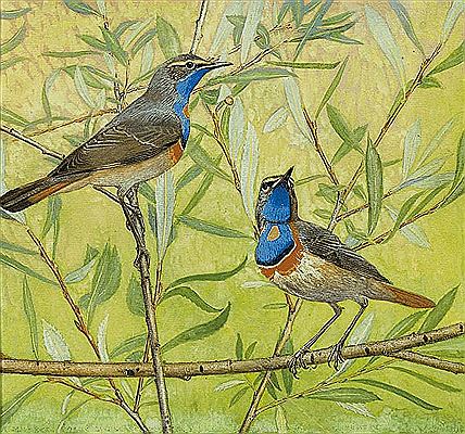 Gorgebleue, 1967 by Paul Andre Felix Robert - Auction record, sale price, and art valuation. Compare with similar artists and explore comparable artworks.