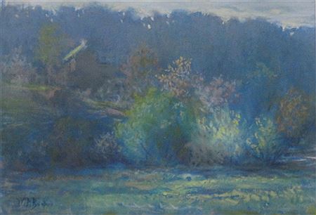 Summer Landscape