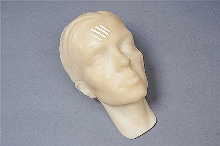 Head