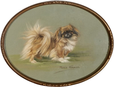 Group of five portraits of Pekingese