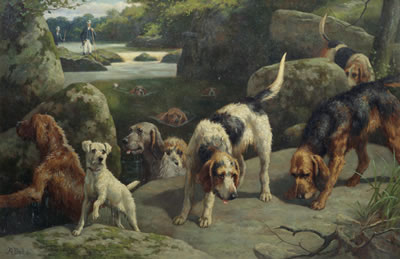 Otterhounds on a scent