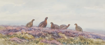 Sample artwork by Brian Rawling (Born 1931), known for wildlife - View similar artists and auction records