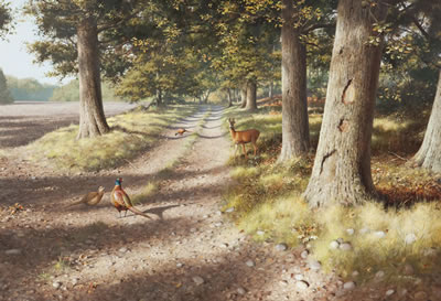 Roe and pheasants