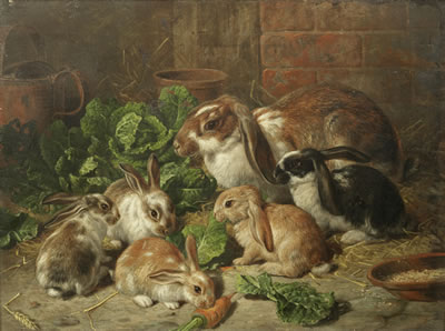 A family of rabbits