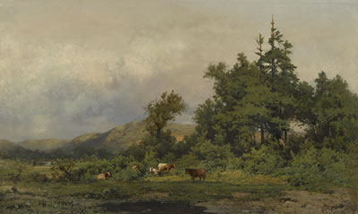 Cows grazing