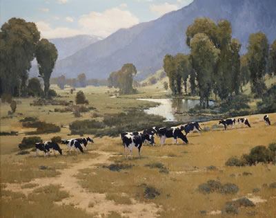 Cows in Telluride Valley