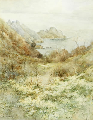 Sark coastal view (3)