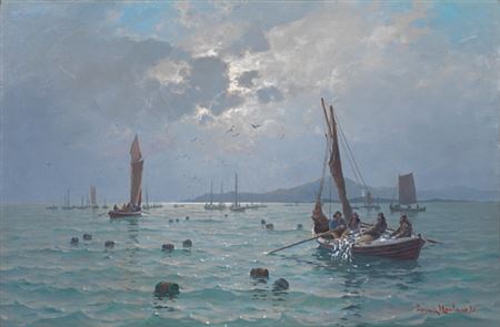 Sildefiske, 1892