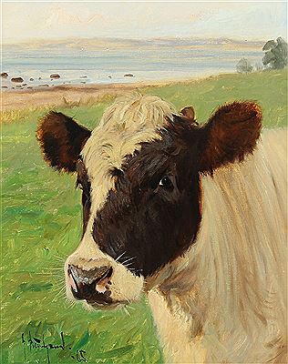 Portrait of a black mottled cow.