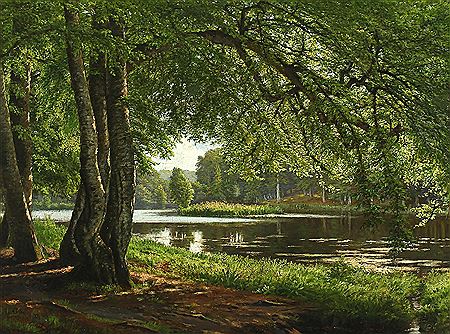 Sunny forest scape with lake.