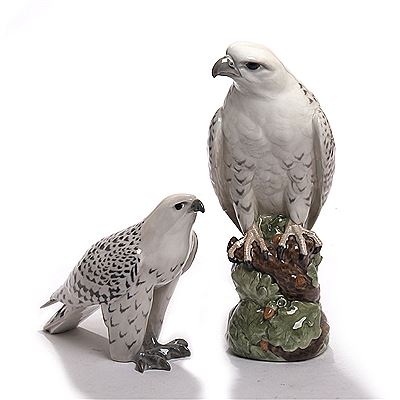 Falcon and Icelandic falcon. (2)