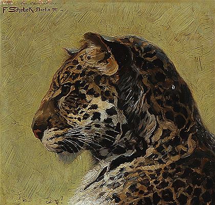 A leopard in profile.
