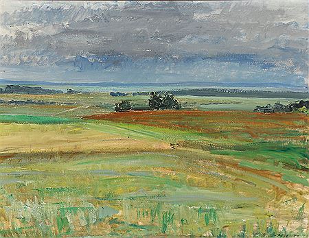 Landscape with grey sky.
