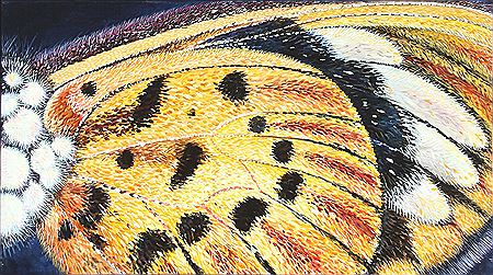 "For en samler V" by Vicky Steptoe - Auction record, sale price, and art valuation. Compare with similar artists and explore comparable artworks.