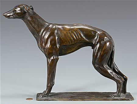 Standing greyhound