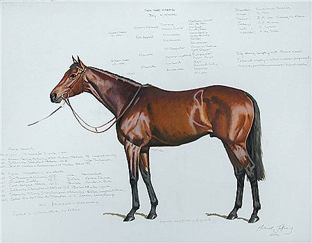 Study of Sea The Stars, the Derby Winner 2009