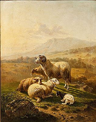 Wiltshire sheep and rams on a green hillside with mountain in the background
